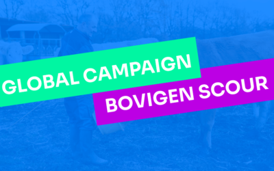 Bovigen Scour: protecting calves from the perils of NCD