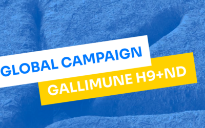 Winning Bigger with Gallimune H9+ND